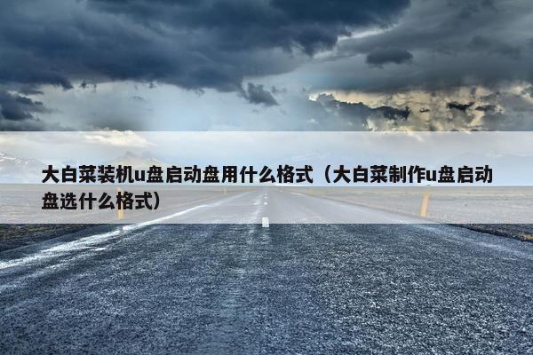 大白菜装机u盘启动盘用什么格式（大白菜制作u盘启动盘选什么格式）