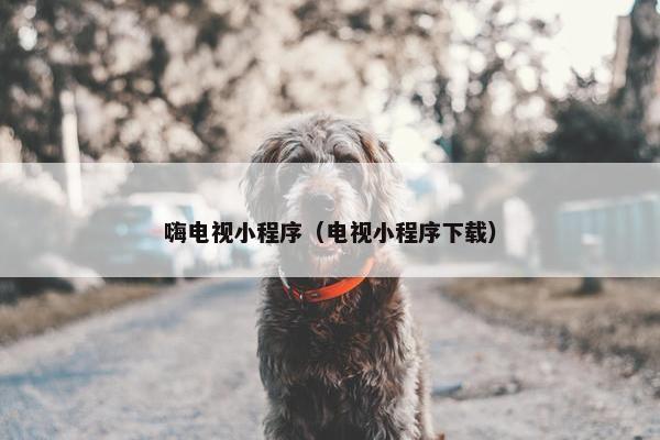 嗨电视小程序（电视小程序下载）