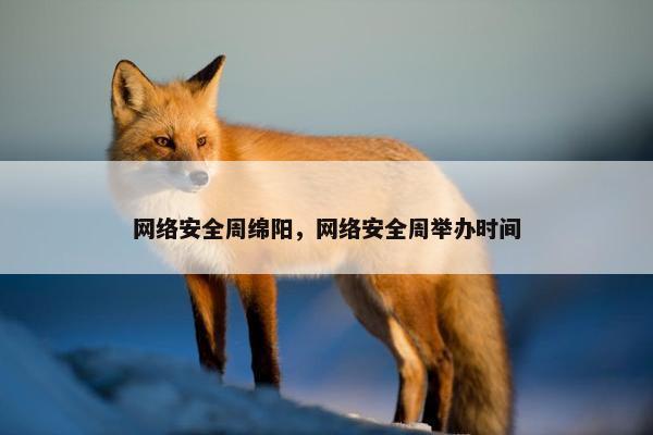 网络安全周绵阳，网络安全周举办时间