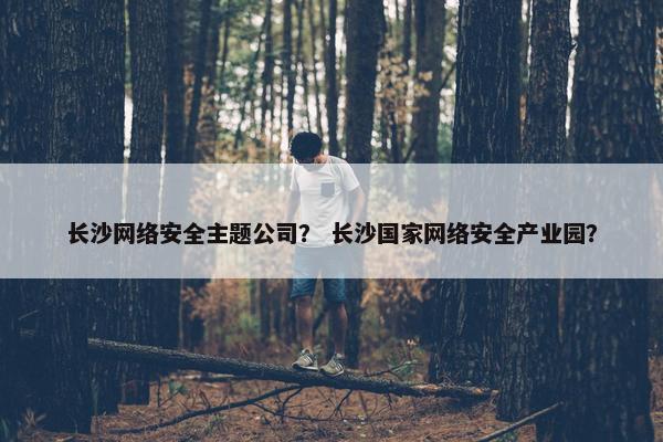 长沙网络安全主题公司？ 长沙国家网络安全产业园？