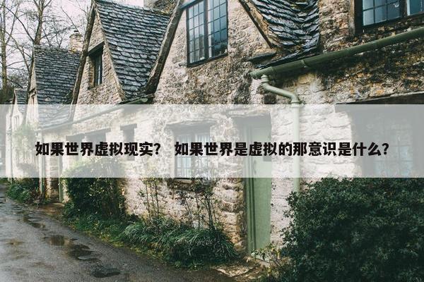如果世界虚拟现实？ 如果世界是虚拟的那意识是什么？