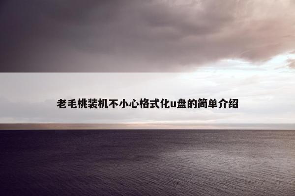 老毛桃装机不小心格式化u盘的简单介绍