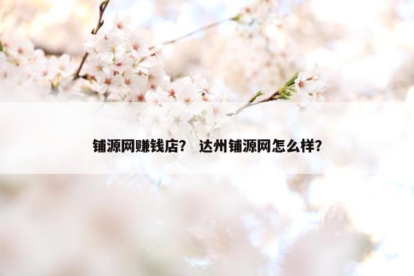 铺源网赚钱店？ 达州铺源网怎么样？