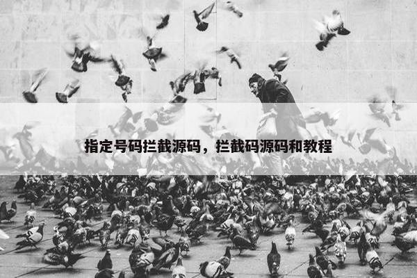指定号码拦截源码，拦截码源码和教程