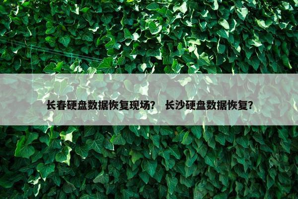 长春硬盘数据恢复现场？ 长沙硬盘数据恢复？