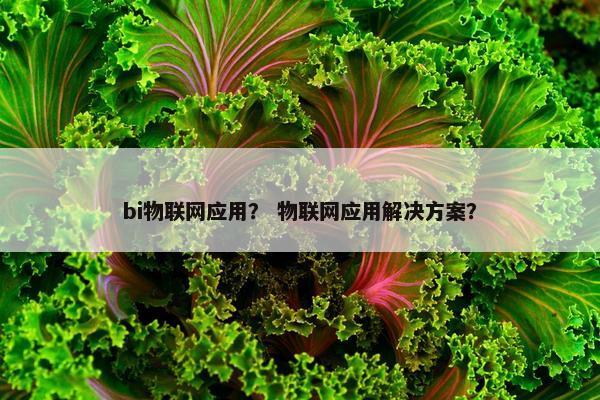 bi物联网应用？ 物联网应用解决方案？