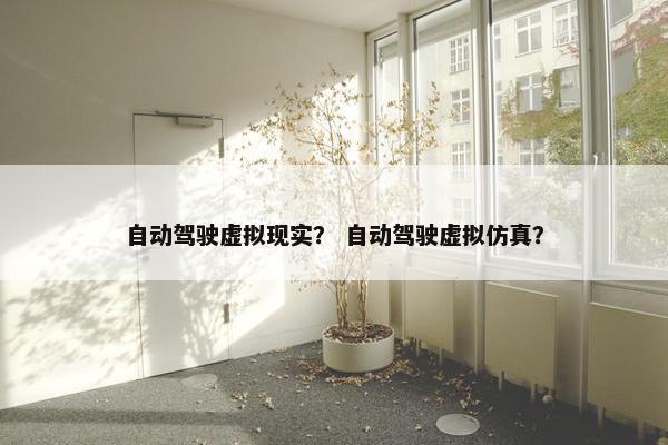 自动驾驶虚拟现实？ 自动驾驶虚拟仿真？