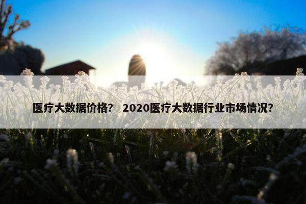 医疗大数据价格？ 2020医疗大数据行业市场情况？