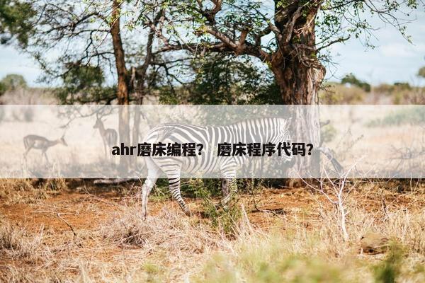 ahr磨床编程？ 磨床程序代码？