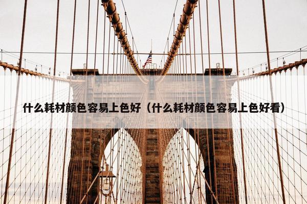 什么耗材颜色容易上色好（什么耗材颜色容易上色好看）