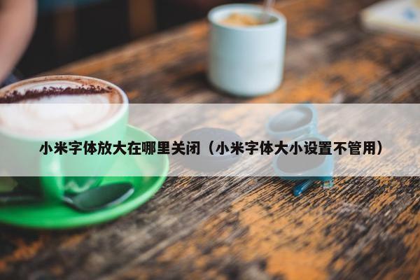 小米字体放大在哪里关闭（小米字体大小设置不管用）