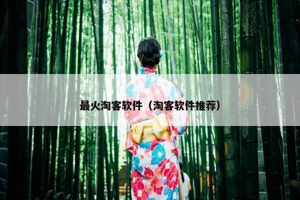 最火淘客软件（淘客软件推荐）