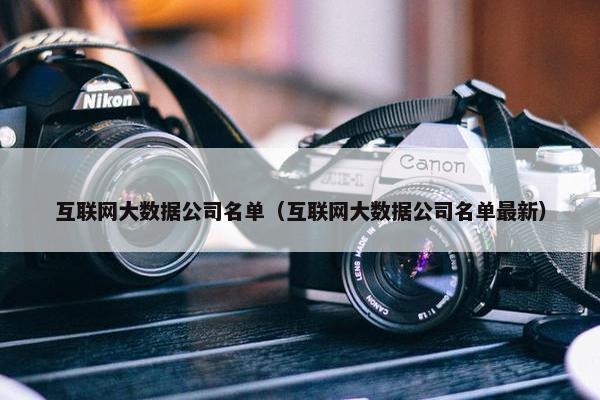 互联网大数据公司名单（互联网大数据公司名单最新）