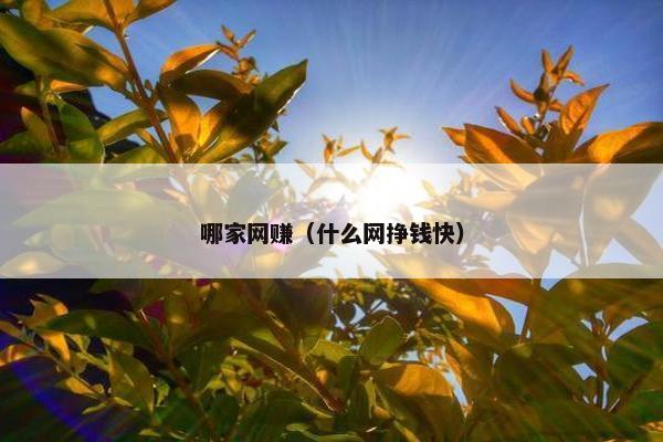 哪家网赚（什么网挣钱快）