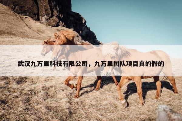 武汉九万里科技有限公司，九万里团队项目真的假的