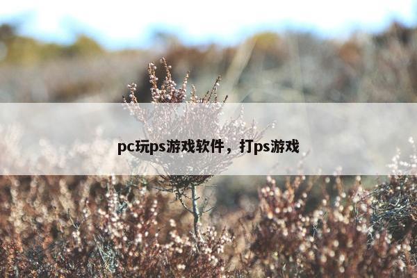 pc玩ps游戏软件，打ps游戏