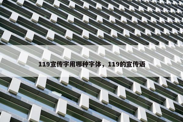 119宣传字用哪种字体，119的宣传语