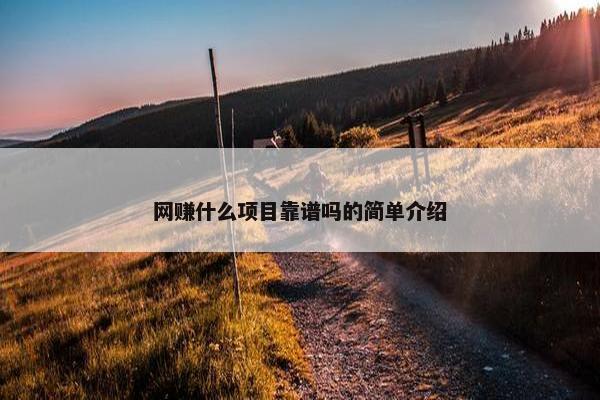 网赚什么项目靠谱吗的简单介绍