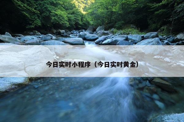 今日实时小程序（今日实时黄金）