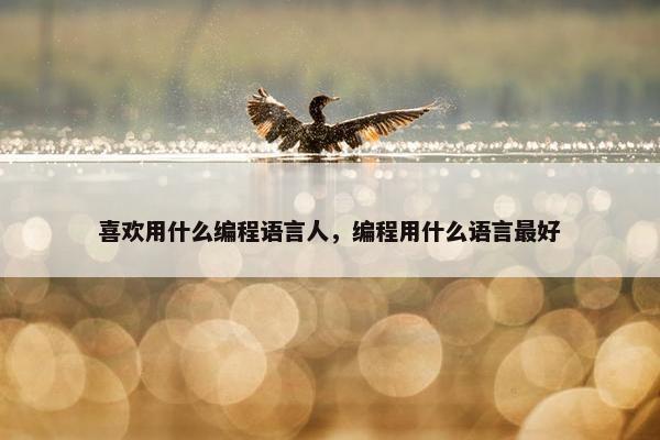 喜欢用什么编程语言人，编程用什么语言最好