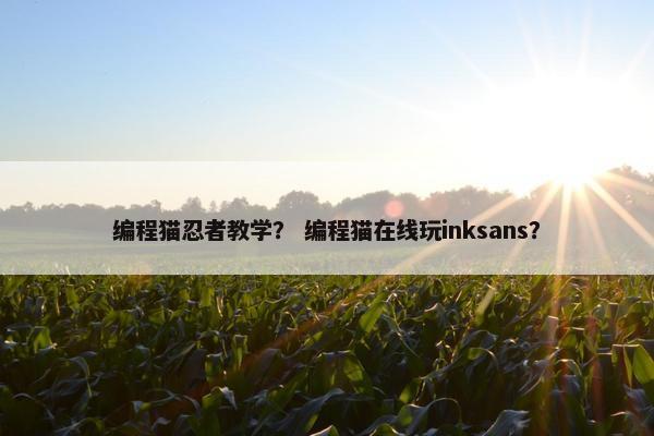 编程猫忍者教学？ 编程猫在线玩inksans？