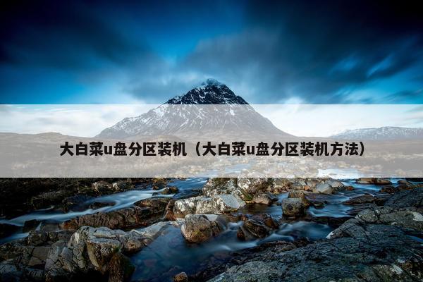 大白菜u盘分区装机（大白菜u盘分区装机方法）