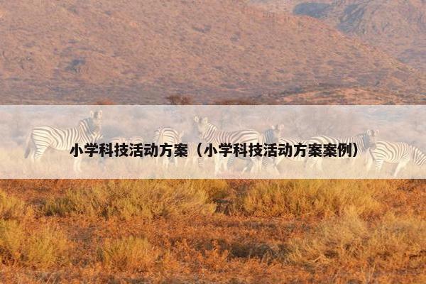 小学科技活动方案（小学科技活动方案案例）