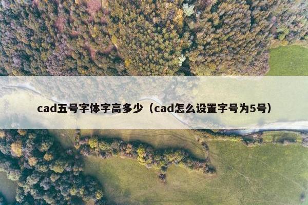 cad五号字体字高多少（cad怎么设置字号为5号）