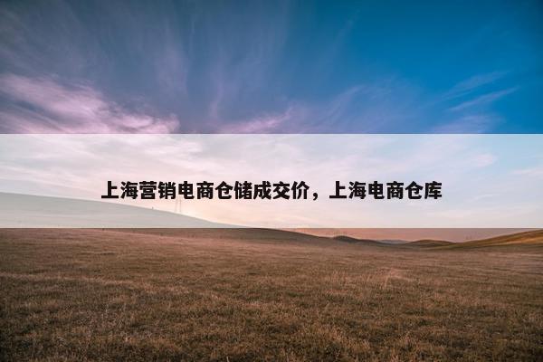 上海营销电商仓储成交价，上海电商仓库