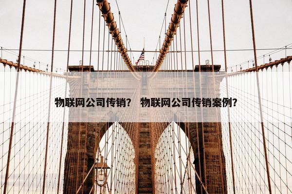物联网公司传销？ 物联网公司传销案例？