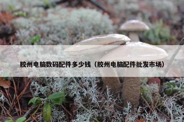 胶州电脑数码配件多少钱（胶州电脑配件批发市场）
