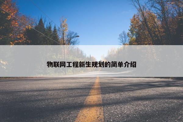 物联网工程新生规划的简单介绍