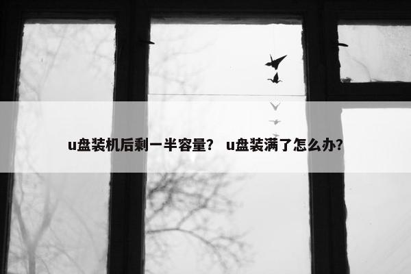 u盘装机后剩一半容量？ u盘装满了怎么办？