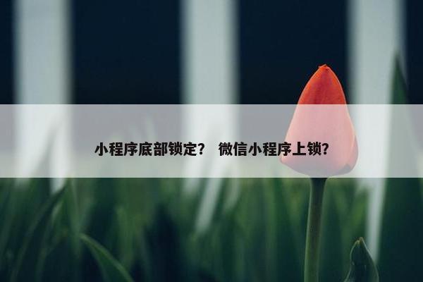 小程序底部锁定？ 微信小程序上锁？