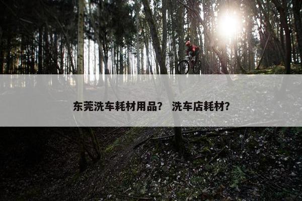 东莞洗车耗材用品？ 洗车店耗材？