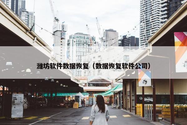 潍坊软件数据恢复（数据恢复软件公司）