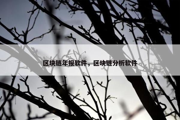 区块链年报软件，区块链分析软件