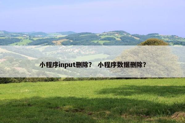小程序input删除？ 小程序数据删除？