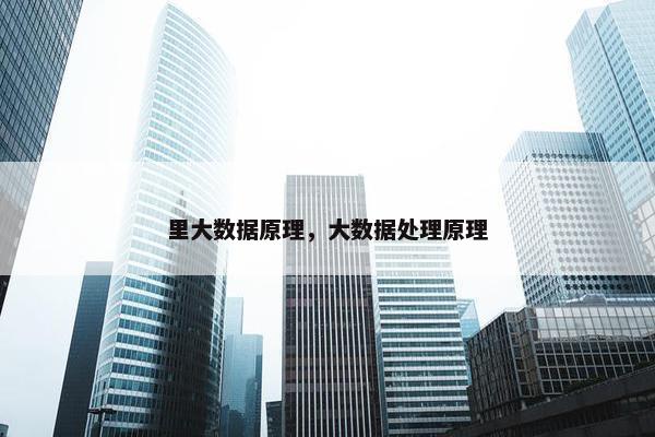 里大数据原理，大数据处理原理