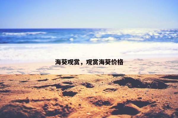 海葵观赏，观赏海葵价格
