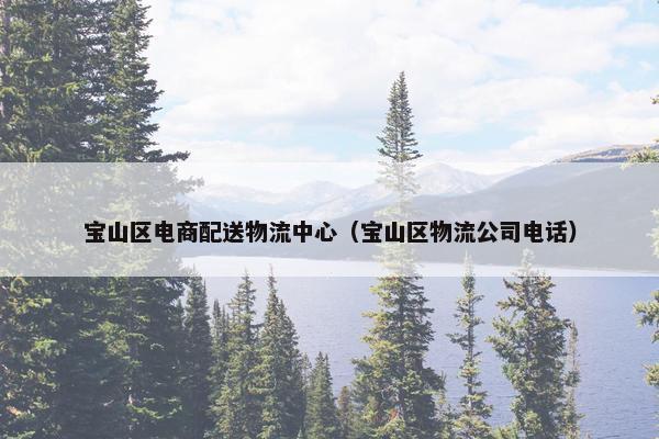 宝山区电商配送物流中心（宝山区物流公司电话）