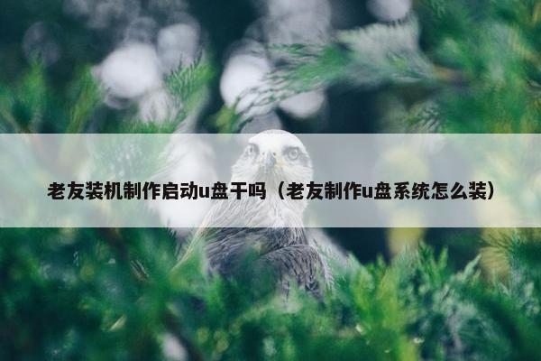 老友装机制作启动u盘干吗（老友制作u盘系统怎么装）