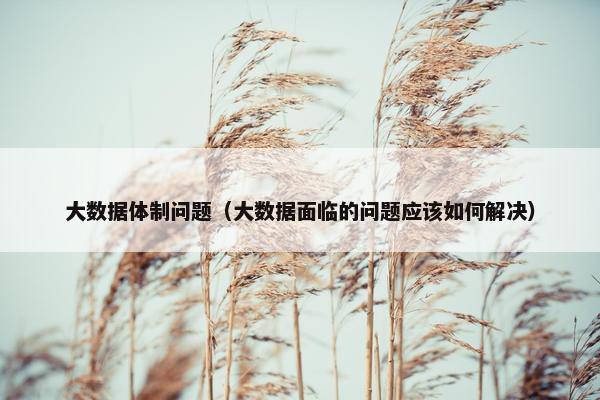 大数据体制问题（大数据面临的问题应该如何解决）