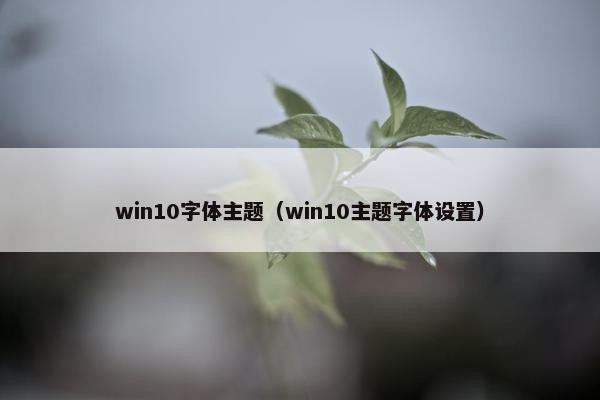 win10字体主题（win10主题字体设置）