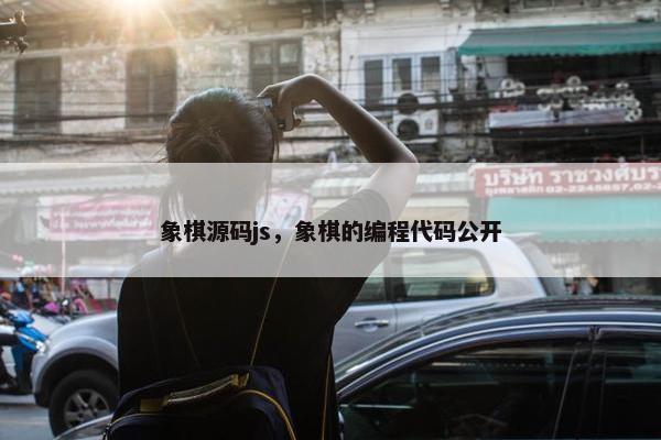象棋源码js，象棋的编程代码公开