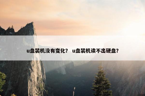 u盘装机没有变化？ u盘装机读不出硬盘？