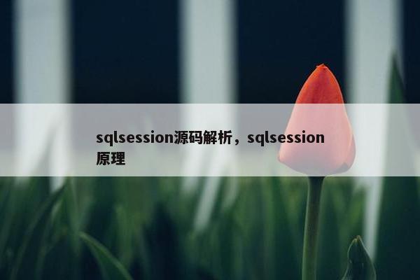sqlsession源码解析，sqlsession原理
