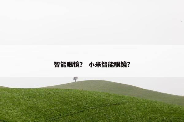 智能眼镜？ 小米智能眼镜？