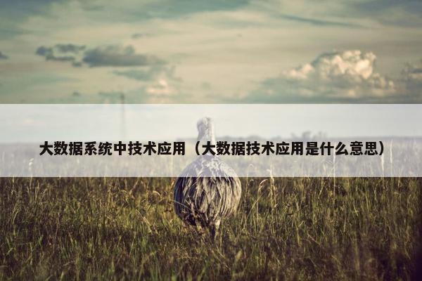 大数据系统中技术应用（大数据技术应用是什么意思）