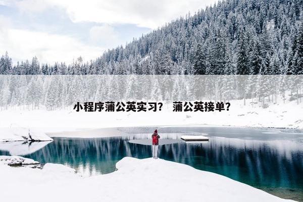 小程序蒲公英实习？ 蒲公英接单？